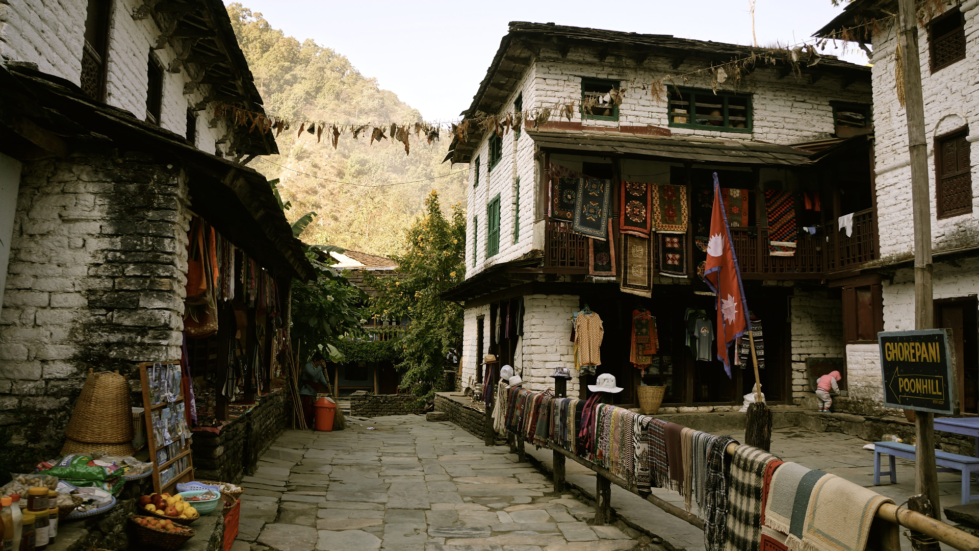 Ghorepani Poon Hill Trek