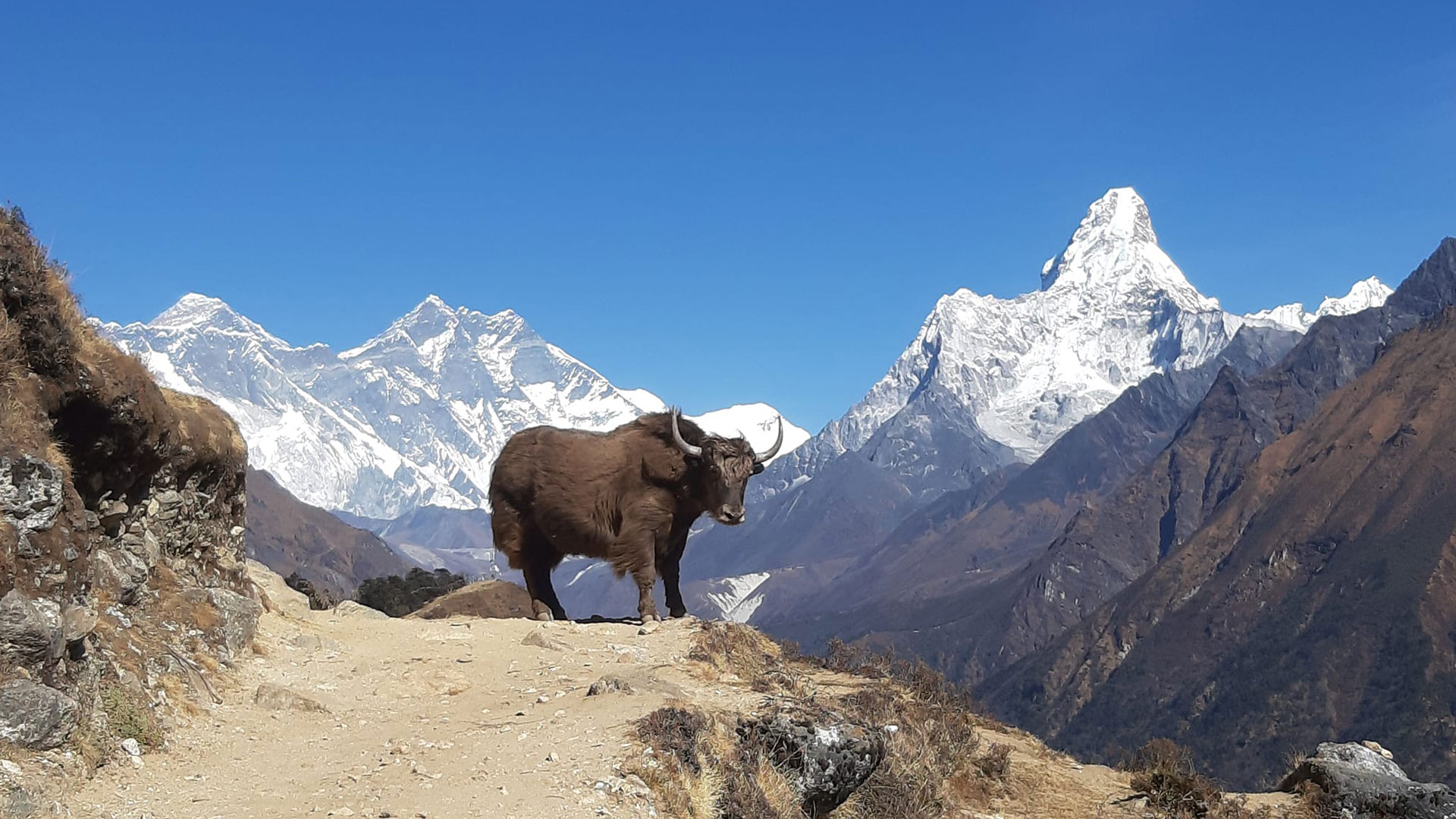 Everest Base Camp